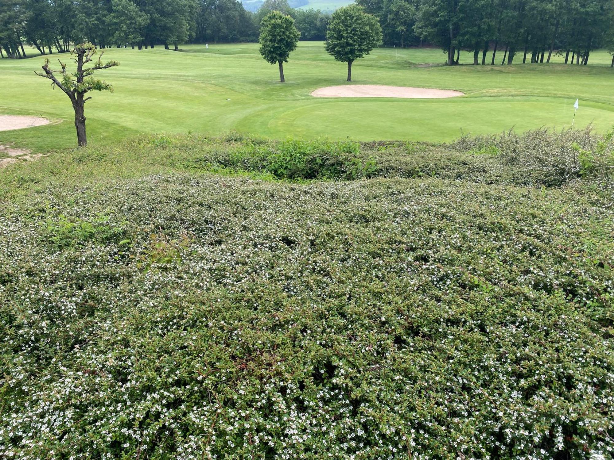 Apartamento Wohnen De Lux - Direkt Am Golfplatz Stromberg  Exterior foto